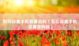 如何设置手机屏幕密码（怎么设置手机屏幕密码锁）