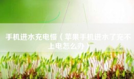 手机进水充电慢（苹果手机进水了充不上电怎么办）