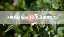 手机查违章app（手机查违章12123）