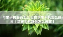 苹果手机静音怎么设置苹果手机怎么静音「苹果手机静音怎么设置」