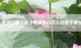 电视回看手机（电视节目怎么回看手机）