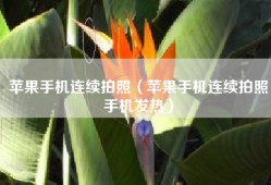 苹果手机连续拍照（苹果手机连续拍照手机发热）