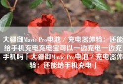 大疆御Mavic Pro电池／充电器体验：还能给手机充电充电宝可以一边充电一边充手机吗「大疆御Mavic Pro电池／充电器体验：还能给手机充电」