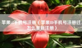 苹果id手机号注册（苹果ID手机号注册过,怎么重新注册）