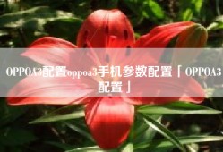 OPPOA3配置oppoa3手机参数配置「OPPOA3配置」