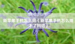 新苹果手机怎么用（新苹果手机怎么用不了网络）