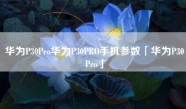 华为P30Pro华为P30PRO手机参数「华为P30Pro」