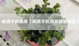 高清手机锁屏（高清手机锁屏壁纸搞怪）