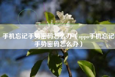 手机忘记手势密码怎么办（oppo手机忘记手势密码怎么办）