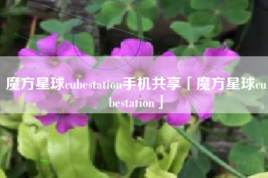 魔方星球cubestation手机共享「魔方星球cubestation」